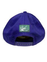 Load image into Gallery viewer, WASHINGTON HUSKIES CAP 3 - PURPLE
