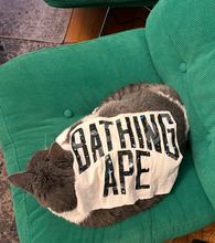 Load image into Gallery viewer, LOGO PUZZLE HOODIE 1 - BAPE/TEXAS/GREY
