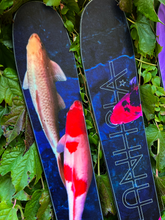 Load image into Gallery viewer, WET 25/26
