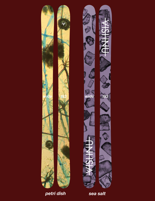 Skis Vishnu Freeski
